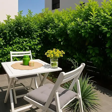 The Modern Palm Garden Ζαντάρ