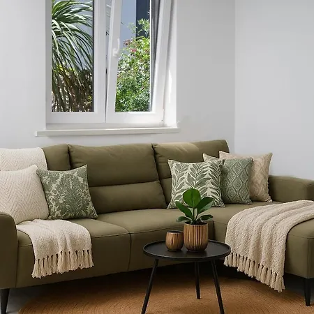 The Modern Palm Garden * Ζαντάρ