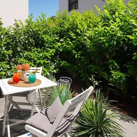 The Modern Palm Garden